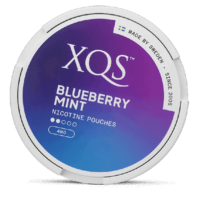 Xqs Blueberry Mint 4Mg