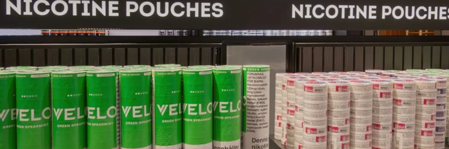 International Regulations & Bulk Nicotine Pouch Trade