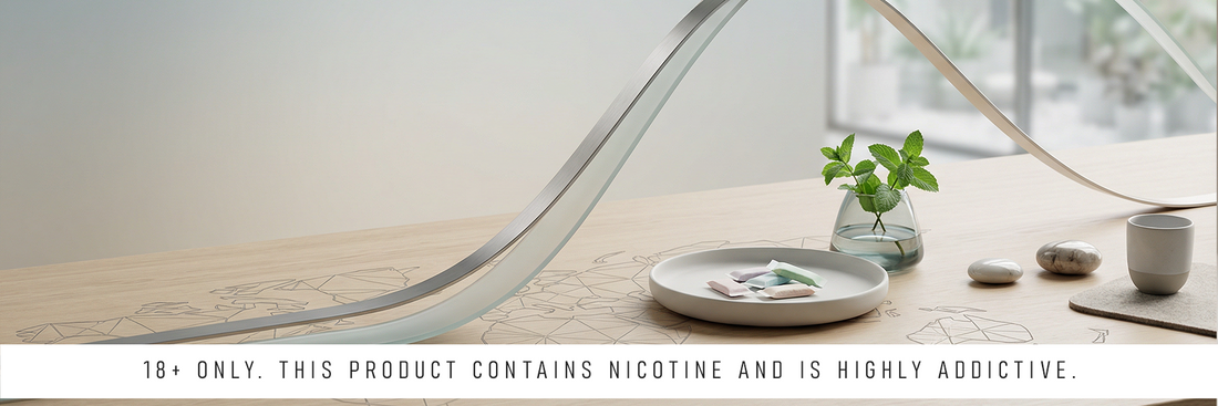 Major Nicotine Pouch Brands Explained Introduction to Nicotine Pouch Brands