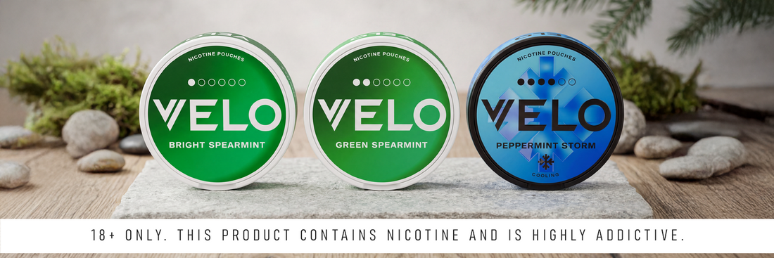 Discover Minty Freshness in Premium Nicotine Pouches