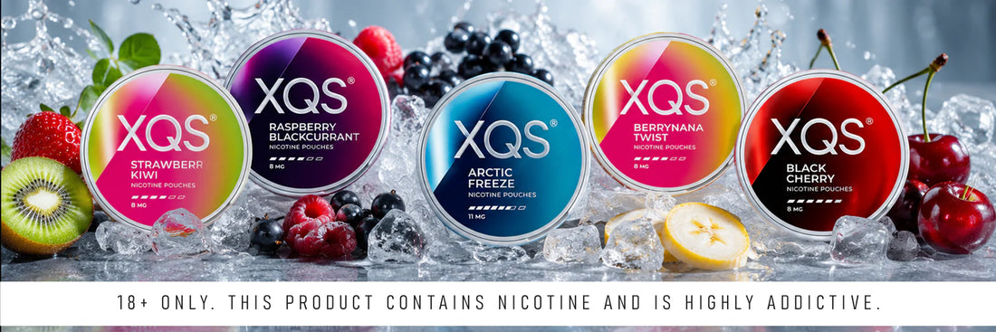 Wholesale XQS Fruit-Flavored Nicotine Pouches for Export