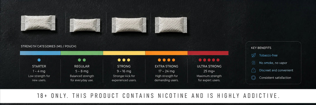 Nicotine Pouch Strength & Format Guide for B2B Buyers