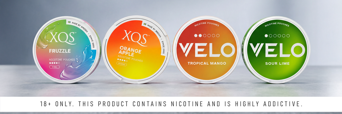 Discover Zesty Nicotine Pouches for an Invigorating Experience