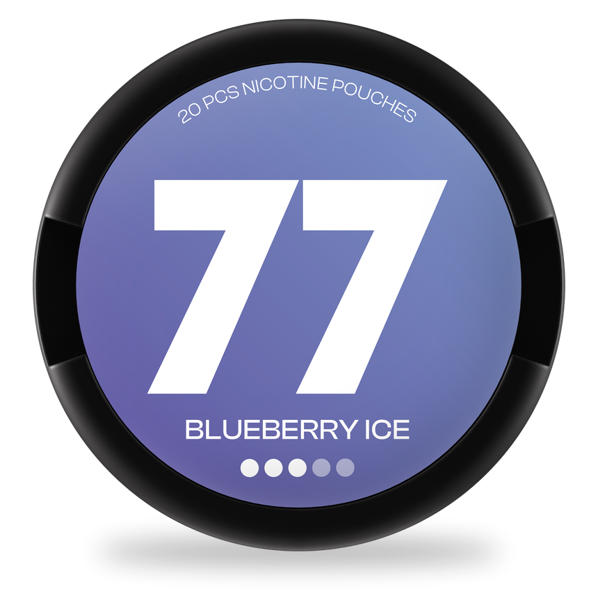 77 Blueberry Ice - SWEPOUCH