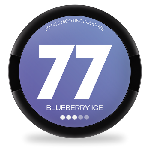 77 Blueberry Ice - SWEPOUCH