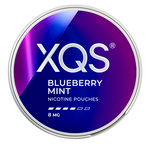 XQS blueberry 4mg nicotine pouches wholesale | Swepouch