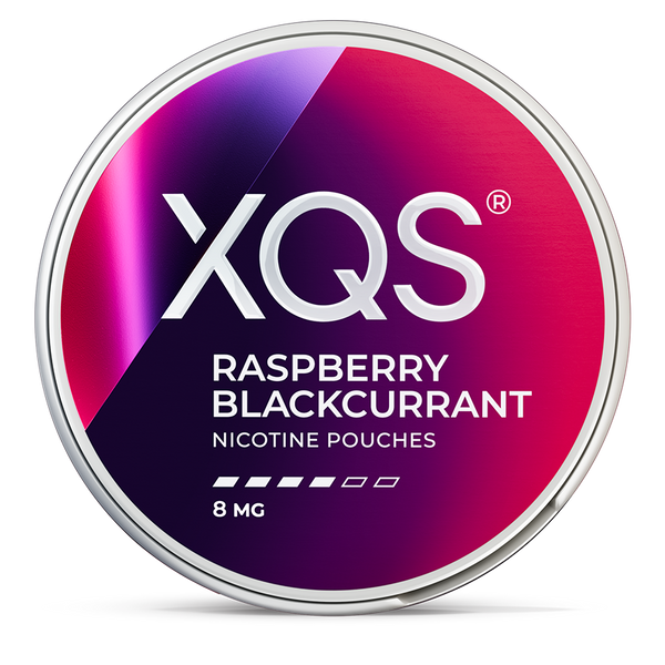 XQS blackcurrant 8mg nicotine pouches wholesale | Swepouch