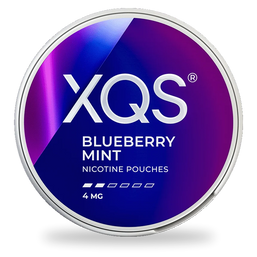 XQS Blueberry Mint nicotine pouches wholesale | Swepouch
