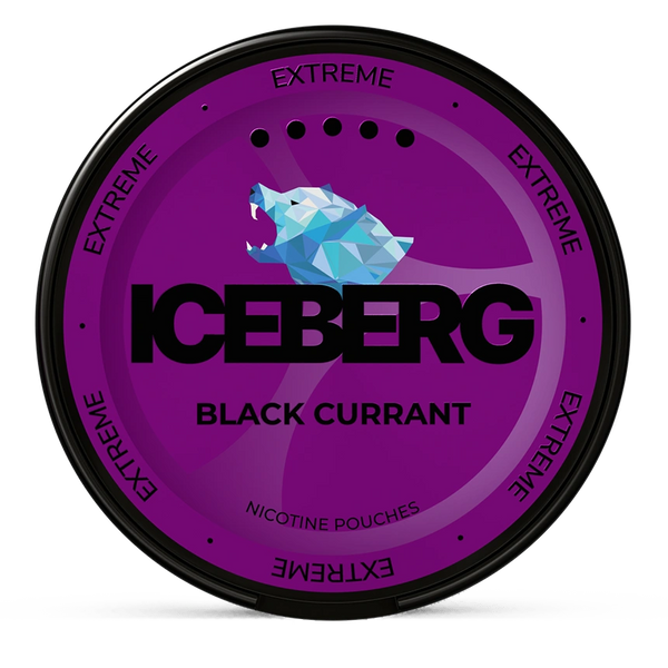 Iceberg blackcurrant 40mg nicotine pouches wholesale | Swepouch