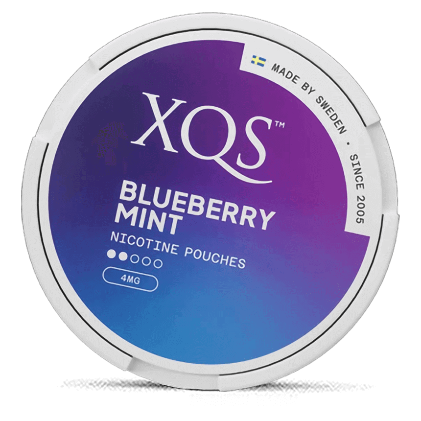 XQS Blueberry Mint