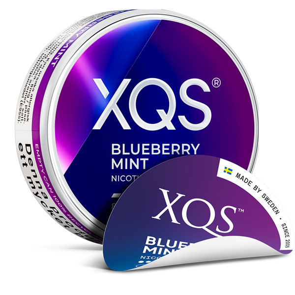 XQS blueberry 4mg nicotine pouches wholesale | Swepouch
