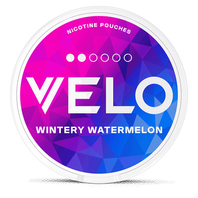 VELO Wintery Watermelon Mini